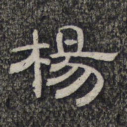 杨书法图片