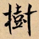 米芾樹书法图片