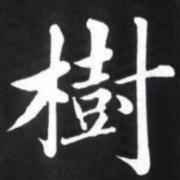 赵孟頫树书法图片