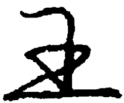 庞中华王书法图片