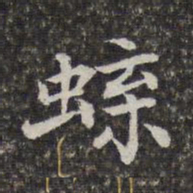 陈香泉蝶书法图片