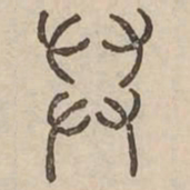 舉书法图片