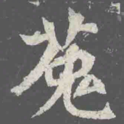 菟书法图片