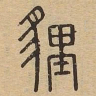 狸书法图片