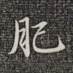 赵孟頫肥书法图片