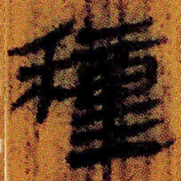 北大汉简种书法图片