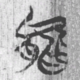 上博简能书法图片