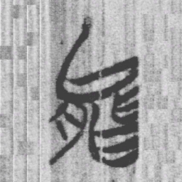 上博简能书法图片
