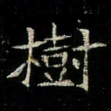 樹书法图片