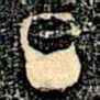 金文旦书法图片