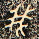 金文我书法图片