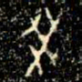 金文癸书法图片
