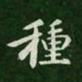 智果种书法图片