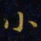 王羲之小书法图片