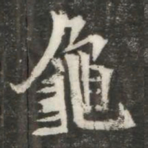 龜书法图片