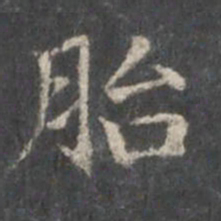 杨羲胎书法图片