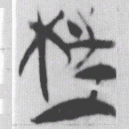 枉书法图片