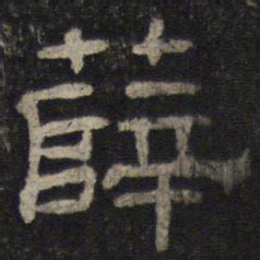薛书法图片