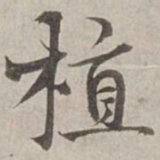 杨维桢植书法图片