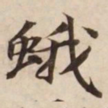蛾书法图片