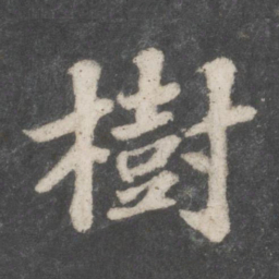 苏轼树书法图片
