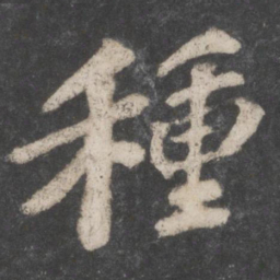 苏轼种书法图片