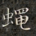 钱泳谨蝇书法图片