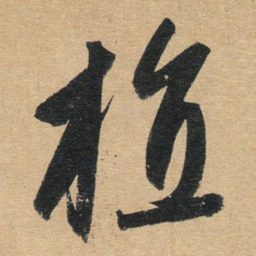 赵孟頫植书法图片