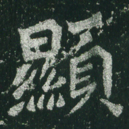 魏碑显书法图片