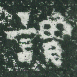 魏碑谓书法图片