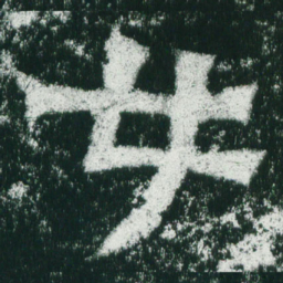 魏碑女书法图片