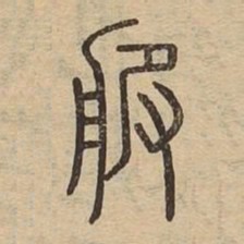 服书法图片