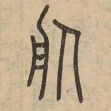 服书法图片