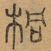 桐书法图片