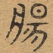 肠书法图片