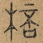 杯书法图片