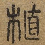 植书法图片