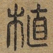 植书法图片