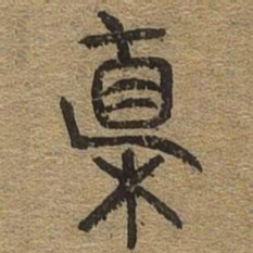 植书法图片