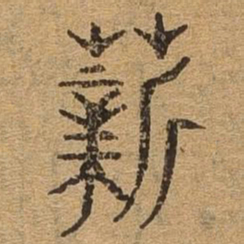 薪书法图片