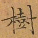 文征明樹书法图片