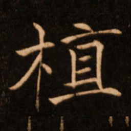 褚遂良植书法图片