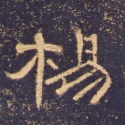 杨书法图片