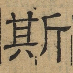 斯书法图片