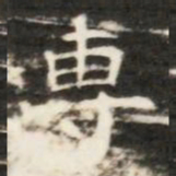 專书法图片