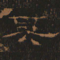 其书法图片