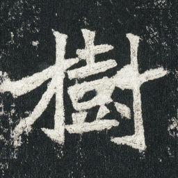 樹书法图片