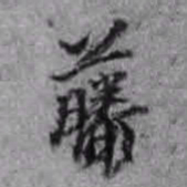 孙承泽藤书法图片