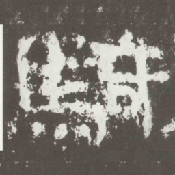 骑书法图片