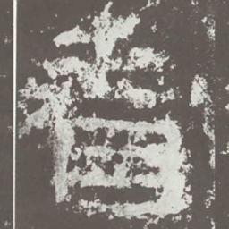 看书法图片
